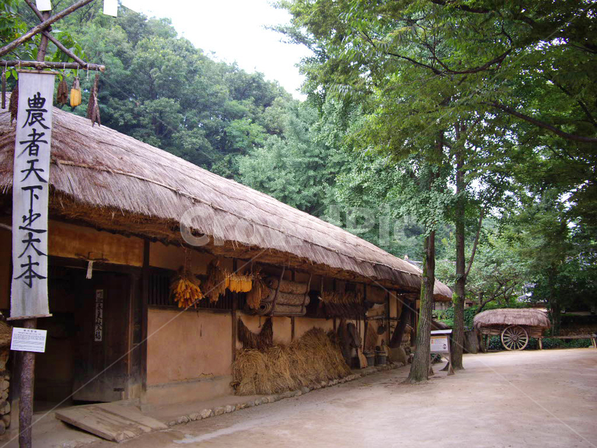 민속촌,민속마을,한국전통,전통,전통마을,한국문화,보존,한국의미,옛마을,village,nature,풍경,주거지,korean,traditional,culture,초가집,짚,마당,옥외,outdoors
