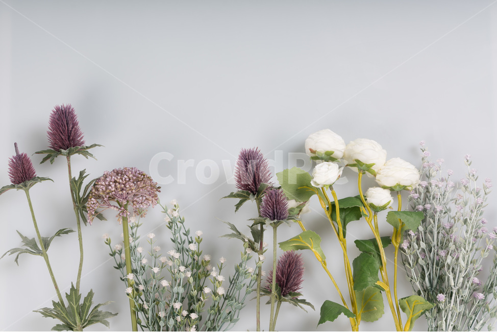 흰색,자연,녹색,장식,봄,식물,잎,디자인,꽃다발,결혼,계절,여름,야생화,줄기,신선하다,아름답다,향기,꽃,안개꽃,만개,나뭇잎,생명,부케,고백,사랑,선물,프로포즈,bouquetflowerbouquetlove,marriage,seasonal,summer,wildflower,stem,fresh,fragrance,petal,bloom,leaf,flower,life,bouquet,꽃,flower