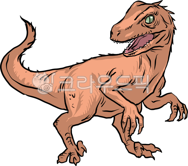 공룡,주황,랩터,벨로시랩터,벨로키랍토르,원시시대,고대생물,육식공룡,육식,발톱,꼬리,고대,수각류,백악기