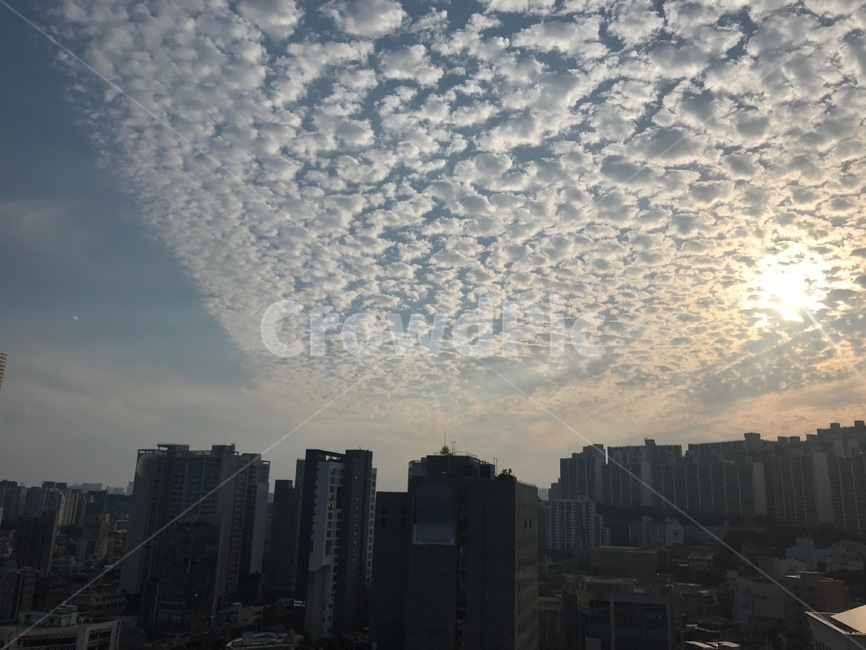하늘,지진운,구름,노을,신기한하늘,노을지는하늘,도심속하늘,도심속자연,자연,nature,sky,cloud