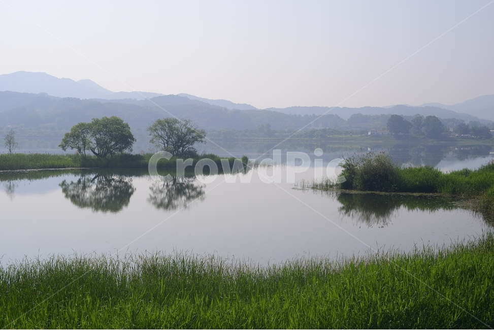 반영,물,강물,나무,자연,풍경,물의정원,reflex,초록,green,자연,풍경,nature,landscape,한국자연풍경,한국자연경관,korea nature landscape,water,outdoors,옥외