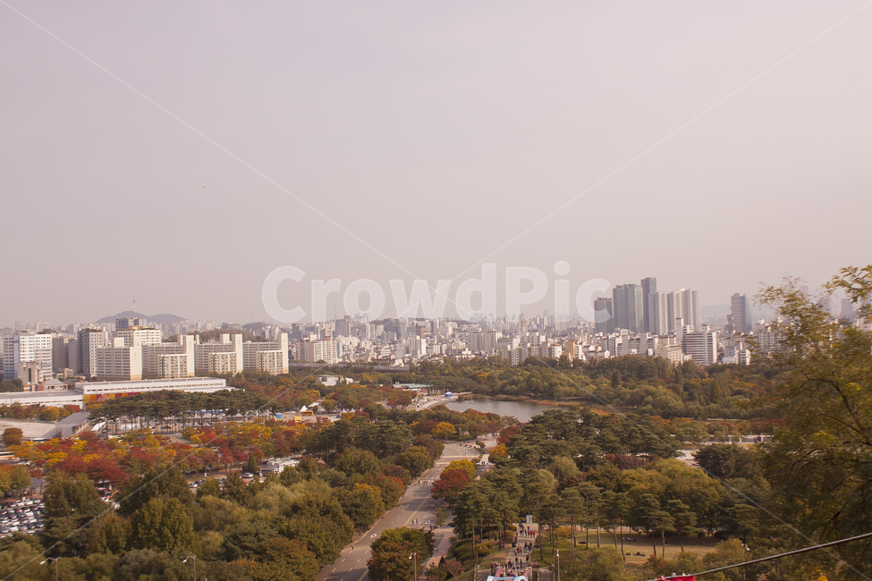 서울,도심,서울풍경,서울숲,하늘공원,urbanlandscape,마포구,가을,감성