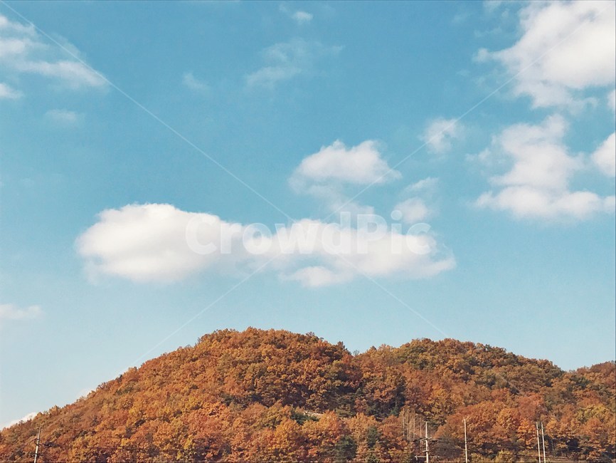 하늘,산,감성,빈티지,가을,가을,계절,fall,autumn,season,자연,풍경,nature,landscape,outdoors,옥외,grassland,목초지,field,들