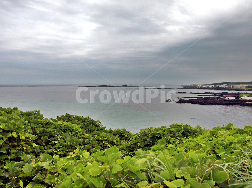 해동포구,제주,올레19코스,올레길,서우봉,바다,자연,풍경,nature,landscape,outdoors,옥외,land,땅,shoreline,해안선,water,물,ocean,대양,sea