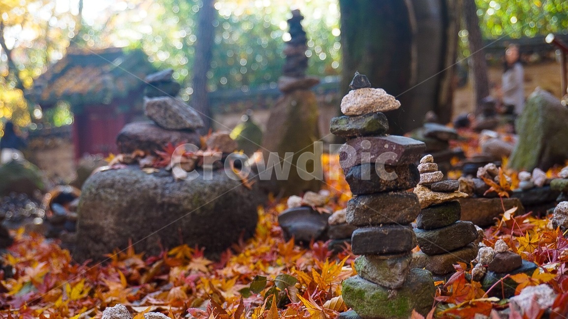 돌탑,낙엽,경주,불국사,가을낙엽,가을,계절,fall,autumn,season,한국전통,한국문화,korean traditional,korean culture,종교,신앙,religion,belief,faith,plant,식물,leaf,잎