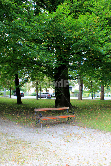 공원,쉼,나무,야외벤치,야외의자,휴식,식물,자연,plants,nature,나무,trees,wood,휴식,힐링,rest,relaxation,healing