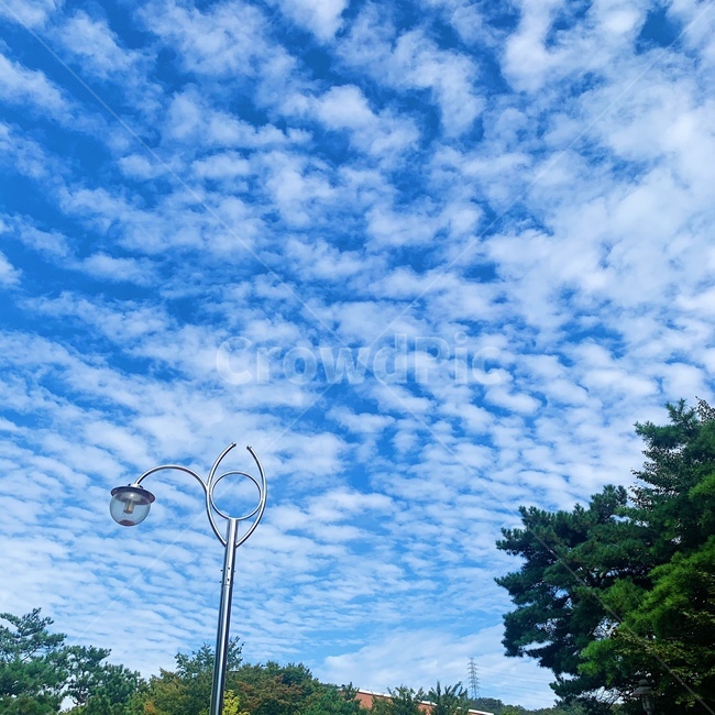 하늘,구름,나무,풍경,outdoors,옥외,nature,자연