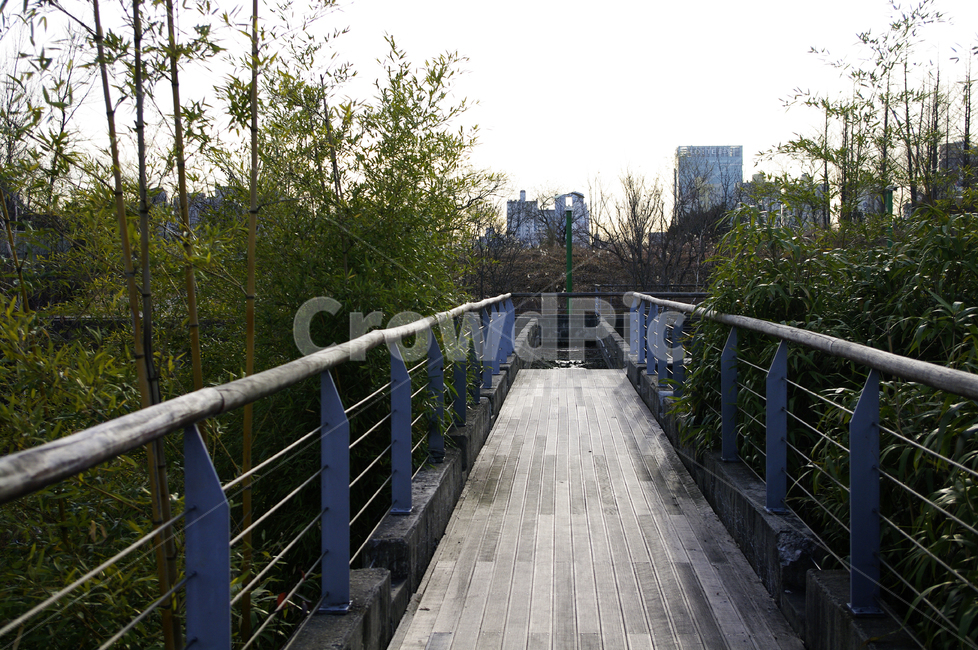 겨울,나무,공원,식물,plant,다리,길,자연,풍경,nature,landscape,railing,난간,banister,handrail