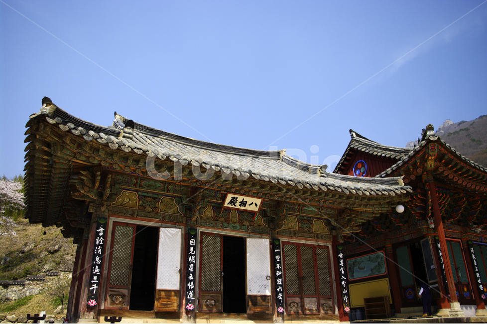 한국,밀양,표충사,사찰,절,전통,단청,한국전통,한국문화,korean traditional,korean culture,종교,신앙,religion,belief,faith,건축물,건물외관,exterior,building,structure,architecture,construction