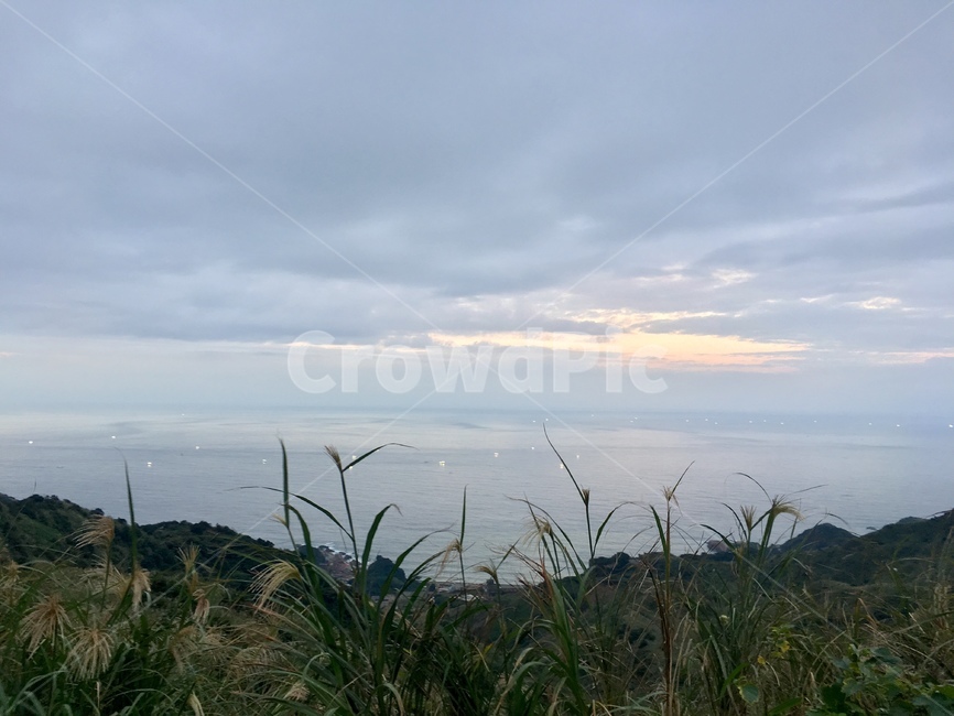 바다,하늘,갈대,sea,ocean,sky,reed,자연,풍경,nature,landscape,land,땅,outdoors,옥외,vegetation,초목,plant,식물,promontory,곶