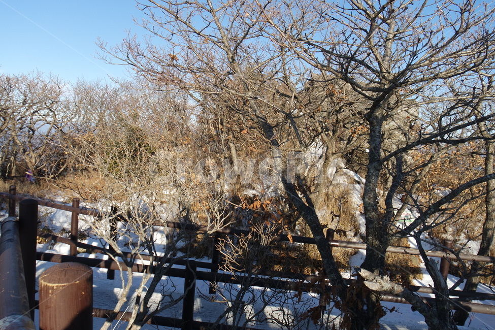 겨울,겨울산,겨울등산,설산,눈,winter,snow