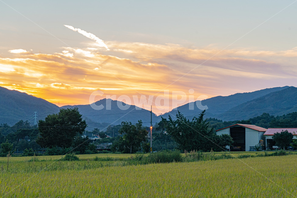 시골,풍경사진,가을,논,하늘,시골,마을,풍경,landscape,country,rural,town,농업,농사,agriculture,farming,farming industry