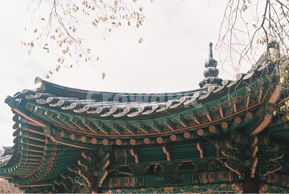 파고다공원,탑골공원,종로,전통,정자,가을,쓸쓸한,서울,공원,autumn,fall,seoul,한국전통,한국문화,korean traditional,korean culture,건축물,건물외관,exterior,building,structure,architecture,construction