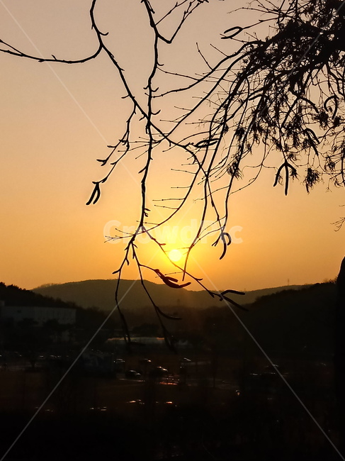 석양,일몰,태양,옥외,붉은하늘,하늘,sunset,outdoors,sunlight,황혼,경치,sky,redsky,nature,자연,풍경,nature,landscape