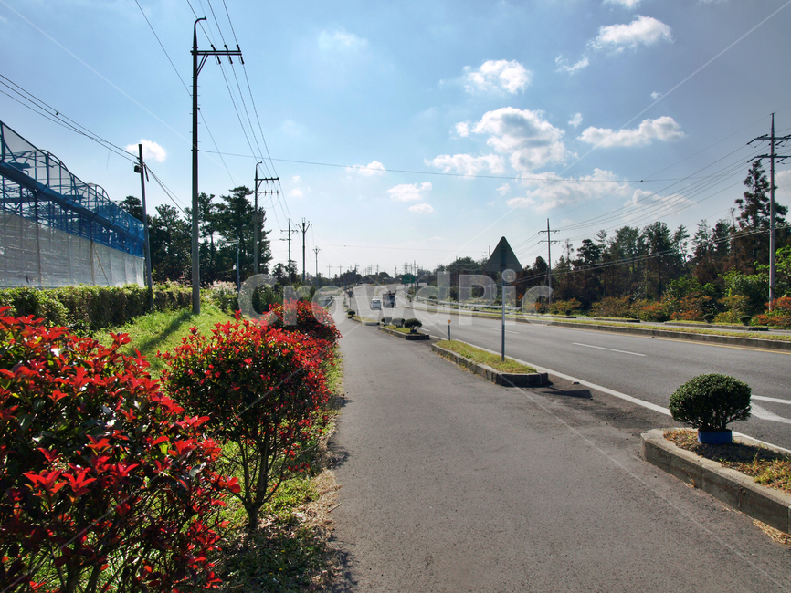 일주도로,올레4코스,올레길,제주,서귀포시,남원,도로,자연,풍경,nature,landscape,asphalt,아스팔트,road