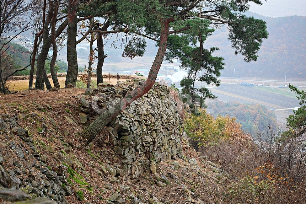 전등사,산성,성,성곽,길,둘레길,숲,숲길,담,돌담,가을,자연,풍경,식물,벽,방어벽,낙엽,단풍,가을,계절,fall,autumn,season,자연,풍경,nature,landscape