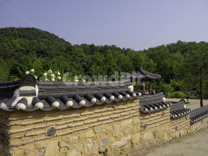 식물,plant,수목원,botanicalgarden,자연,nature,trees,한옥,koreantraditionalhouse,한국전통,한국문화,korean traditional,korean culture,건축물,건물외관,exterior,building,structure,architecture,construction