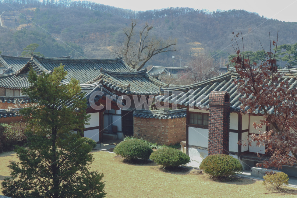 봄,spring,한옥,korean,traditional,house,기와,기와지붕,roof,tile