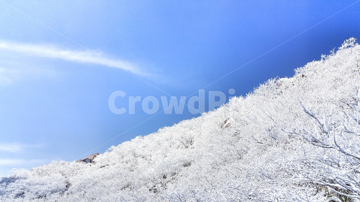 상고대,산,나무,눈,흰눈,하늘,구름,파란하늘,설결,설산,겨울산,속리산,겨울,계절,자연,풍경,winter,season,nature,landscape,눈꽃,겨울,계절,winter,season,자연,풍경,nature,landscape,outdoors,옥외,mountain
