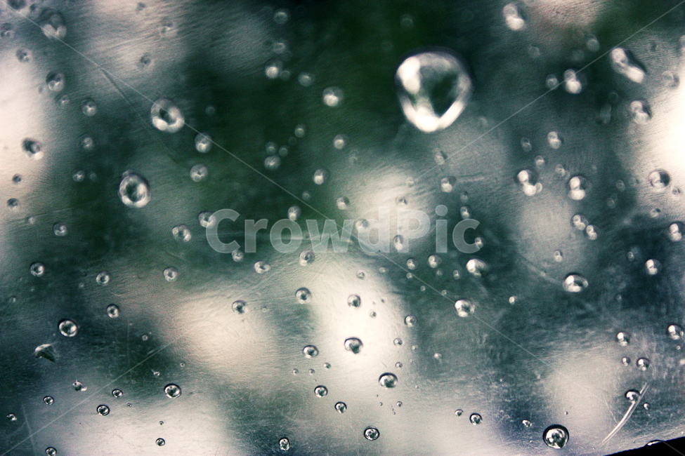 droplet,작은물방울,bubble,거품,자연,rain,물맺힘,물방울,장마,비오는날,여름,희미한,물,우산,투명우산,비,비,비오는날,rain,rainy