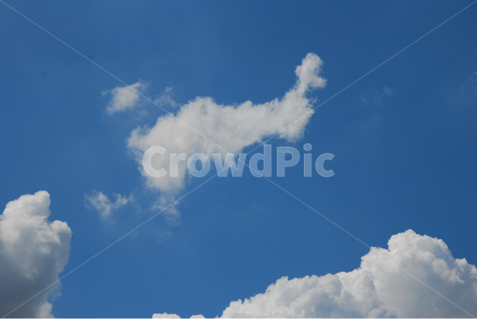 nature,자연,옥외,azuresky,푸른하늘,sky,하늘,가을하늘,구름