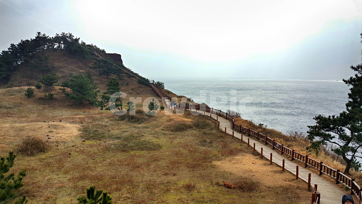 송악산,둘레길,제주도,서귀포시,바다,길,절벽,해안절벽,자연,풍경,nature,landscape,제주도,jeju,jeju island