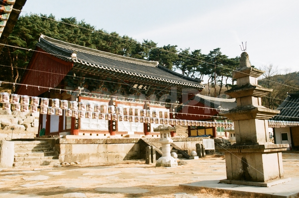 유가사,사찰,절,비슬산유가사,석탑,필름사진,한국전통,한국문화,korean traditional,korean culture,종교,신앙,religion,belief,faith