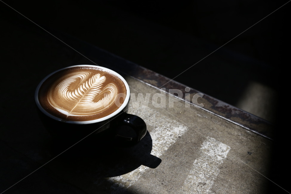 coffee,latte,커피,라떼,카페라떼,햇빛,커피,카페,coffee,cafe