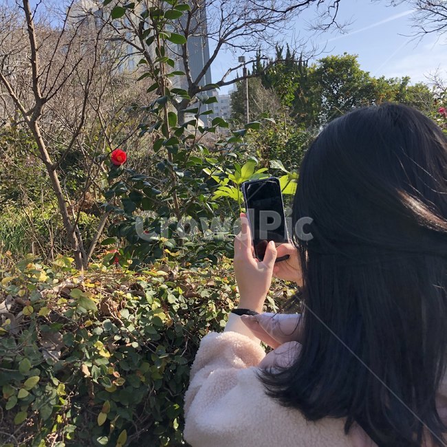 꽃,뒷모습,여자,여자뒷모습,사진,휴대폰,나무,식물,단발머리