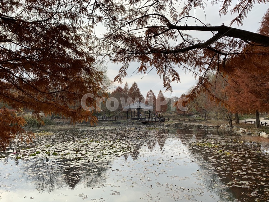 풍경,가을,호수,정자,공원,낙엽,view