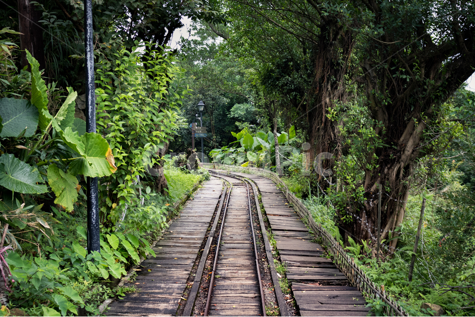 숲길,철도,산,삼림,휴식,휴양지,편안함,평온,railway,wood,trees,forest,woods,mountain,산속,풍경,landscape,철로,자연,풍경,nature,landscape,arbour,정자,garden,정원,outdoors,옥외