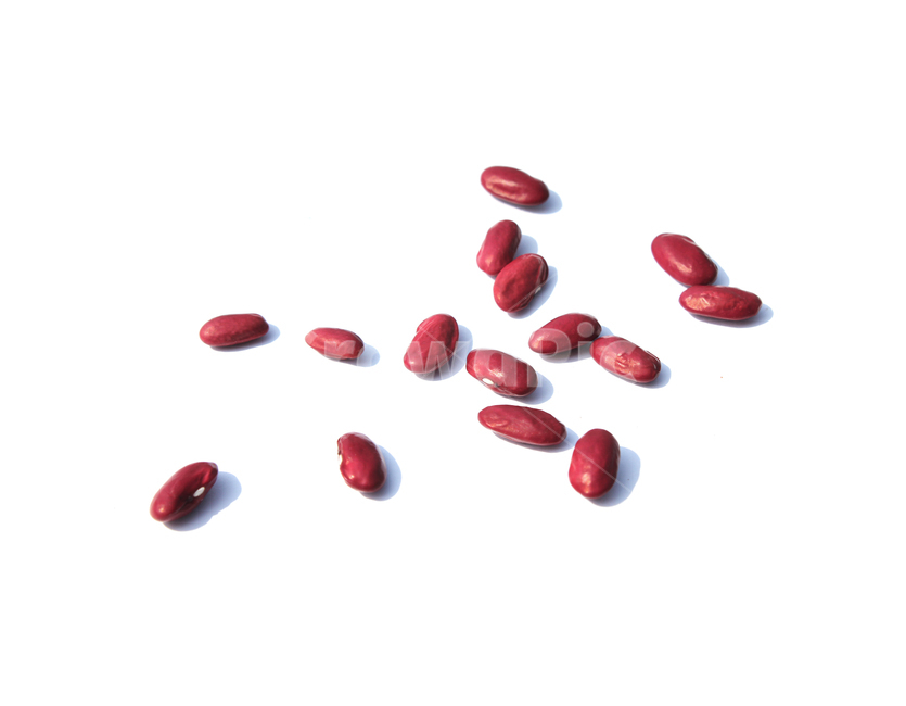 붉은콩,bean,콩,redbean,brown,closeup,dry,food,protein,red,seed,uncooked,vegetable,white,흰배경,야채,붉은색,빨강,말린,단백질,씨앗,요리재료,식재료,요리,음식,음식,식재료,요리,food,cook,meal,dishes,food reserves,콩류,견과류,beans,pulse,nuts,dry fruits,누끼,remove background