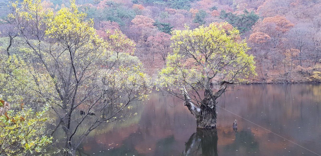 가을,단풍,tree,나무,nature,자연,호수,가을,계절,fall,autumn,season,자연,풍경,nature,landscape,plant,식물,outdoors,옥외,land,땅