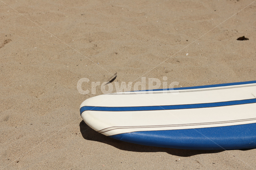 서핑,서핑보드,여름,취미,취미생활,바다,해변,surf,surfing,여름,계절,summer,season,여행,휴가,traveling,vacation,trip,스포츠,레저,운동,sports,leisure,exercise,ocean,대양,nature,자연,water,물,outdoors,옥외,sea,sport