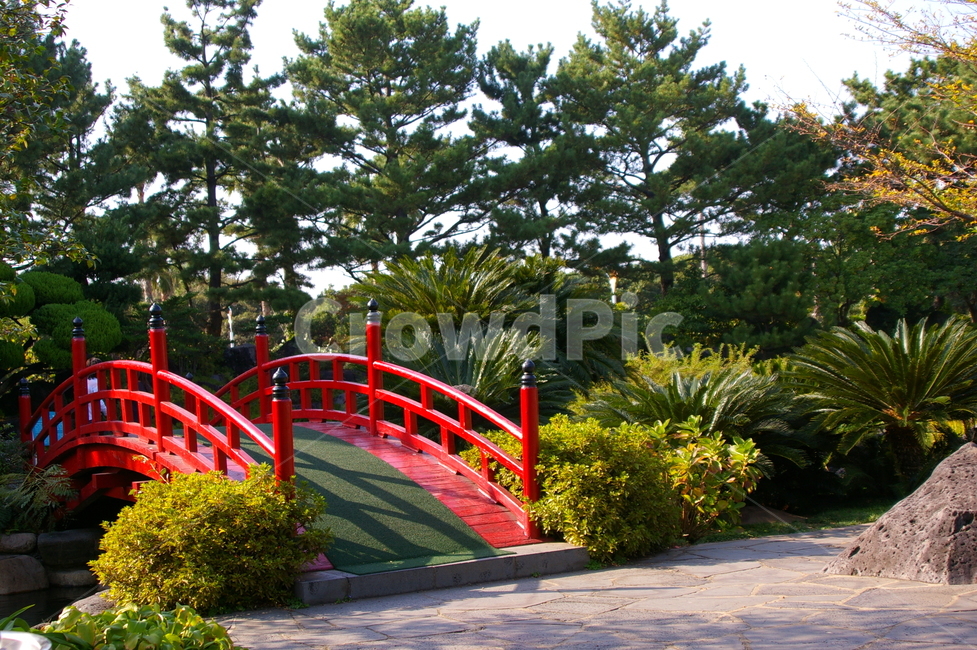 제주,제주도,outdoors,옥외,garden,정원,plant,식물,다리