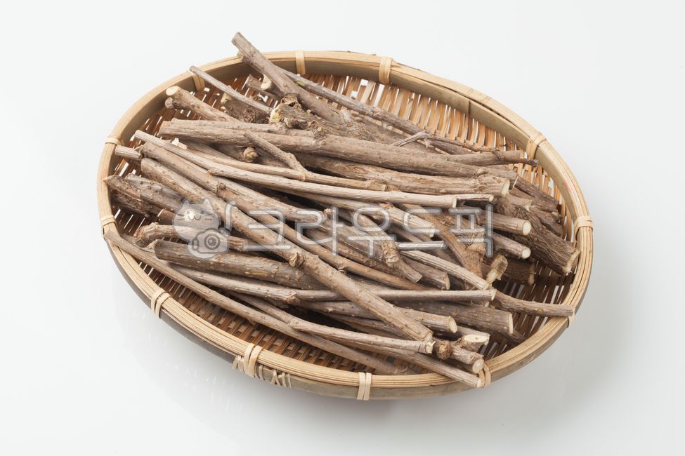 Acanthopanax,Oh Gapi,eucalyptus tree,acanthus tree,Oriental medicine ingredients,Acanthophylla branch,herbal medicine,herbal tea,herbal medicine ingredients