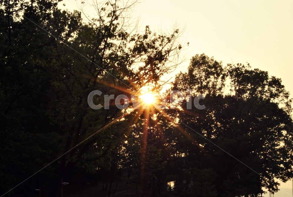 일몰,노을,나무,빛반사,태양,sunset,glow,tree,reflex,sun,식물,자연,plants,nature,나무,trees,wood,실루엣,그림자,silhouette,shadow