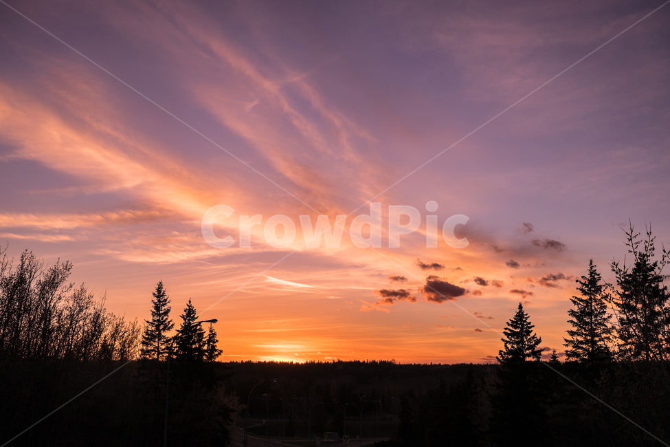 캐나다,canada,에드먼튼,edmonton,알버타,alberta,겨울,쌀쌀,겨울풍경,도로,차도,저녁하늘,신호등,파란하늘,자연,풍경,nature,landscape,tree,나무,plant,식물,fir,전나무