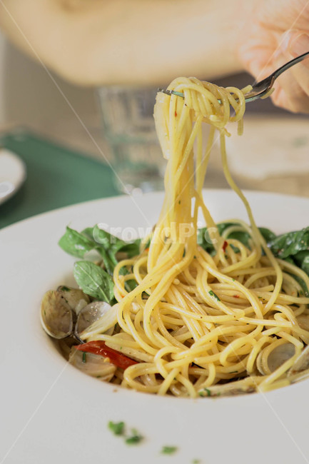 스파게티,음식,서양음식,레스토랑,pasta,spaghetti,food,면요리,파스타,푸드,noodles,요리책,쿠킹,음식,식재료,요리,food,cook,meal,dishes,food reserves,면류,면요리,noodles,양식,서양음식,서양요리,western food,western dishes,western meal,western cook