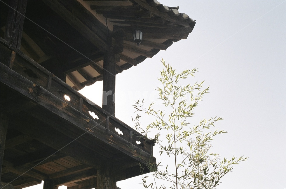 한옥,누각,안동,나무,공기좋음,한국전통,한국문화,korean traditional,korean culture,건축물,건물외관,exterior,building,structure,architecture,construction