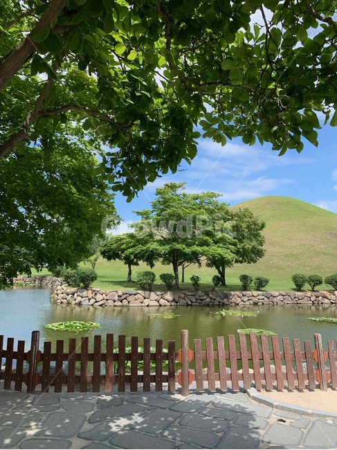 자연,나무,초록색,날씨,천마총,경주,연못,풀,자연,풍경,nature,landscape,outdoors,옥외