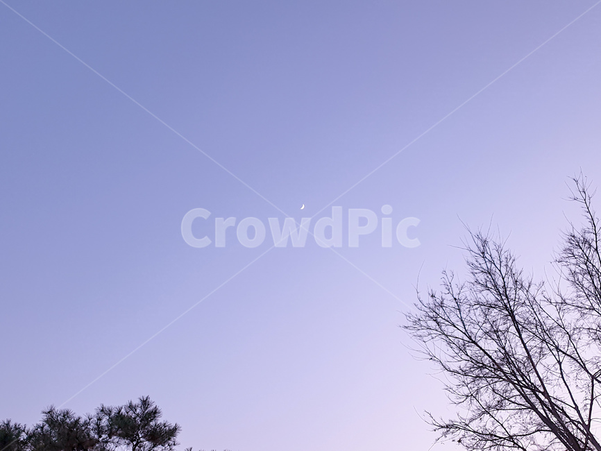 초승달,노을,하늘,나무,감성,moon,달,자연,풍경,nature,landscape,야경,밤,nightscape,night,outdoors,옥외