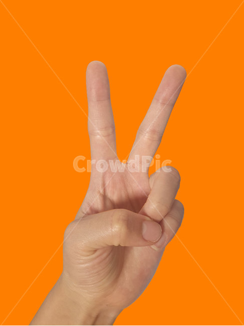 손가락,손가락모양,사람손,손,finger,사람,인물,인간,human,person,신체일부,몸,body,손,제스처,표시,손짓,표현,gesture,hand,sign,expression