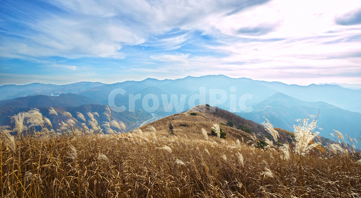 하늘,들판,갈대,민둥산,nature,자연,outdoors,옥외,가을,계절,fall,autumn,season,자연,풍경,nature,landscape,한국자연풍경,한국자연경관,korea nature landscape