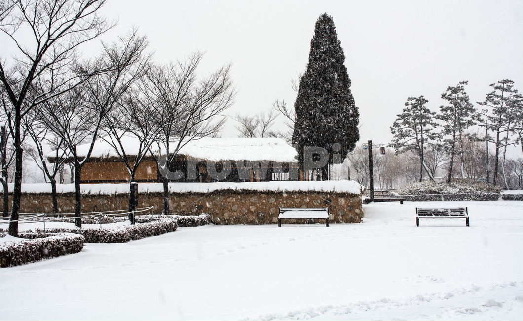 눈발,백설,눈길,흰눈,겨울풍경,겨울,계절,winter,season,한국전통,한국문화,korean traditional,korean culture