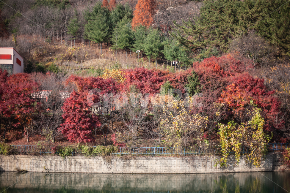 가을,산,autumn,fall,landscape,풍경,가을,계절,fall,autumn,season,자연,풍경,nature,landscape,tree,나무,plant,식물