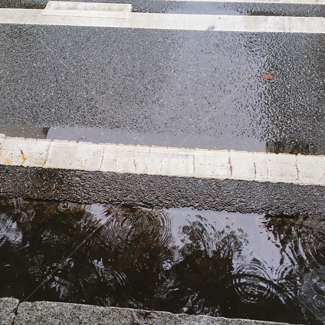 비,빗물,rain,rainwater,도로,회색,gray,비,비오는날,rain,rainy