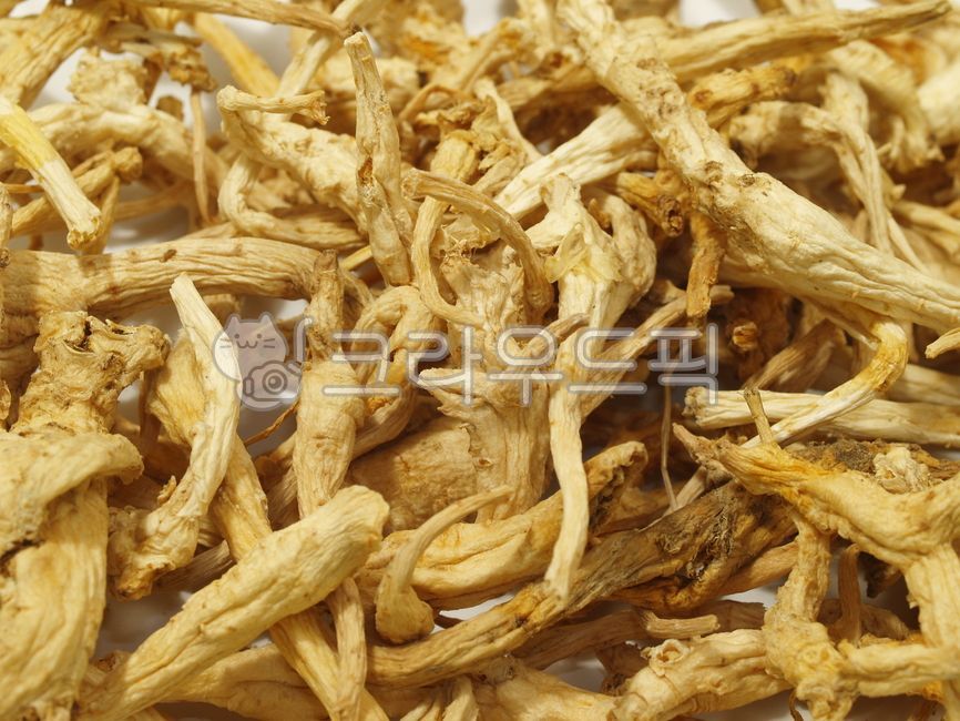 한방차,허브티,건강차,원물,말린,건조,건재,도라지,도라지뿌리,뿌리,건조된도라지