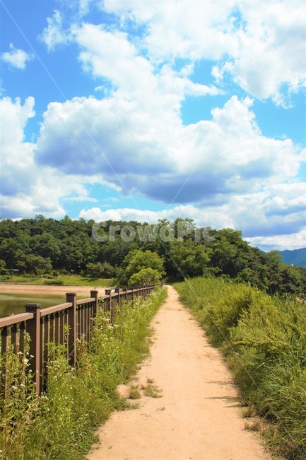 길,하늘,구름,숲,공원,시골길,휴식,힐링,난간,녹색,여름,날씨,summer,healing,green,파랑,흰색,blue,white,grass,풀,잡초,weed,tree,나무,forest,cloud,sunny,낮,nobody,풍경,landscape