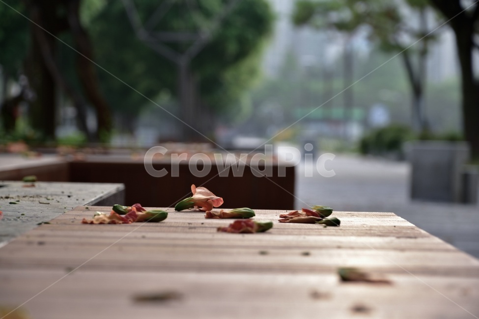 벤치,공원,꽃잎,평화로운,감성적